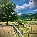 Agristurismo Casale Montebello *