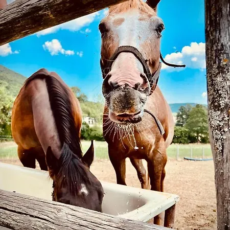 Casale Montebello * Monteleone di Spoleto