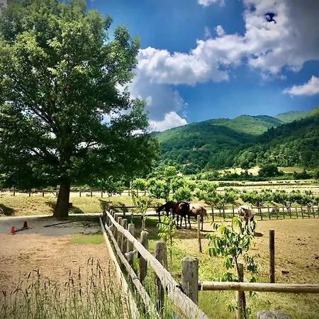 Agristurismo Casale Montebello *