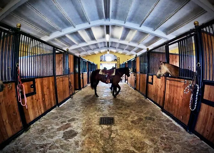 Alojamento de Turismo Rural Casale Montebello Monteleone di Spoleto