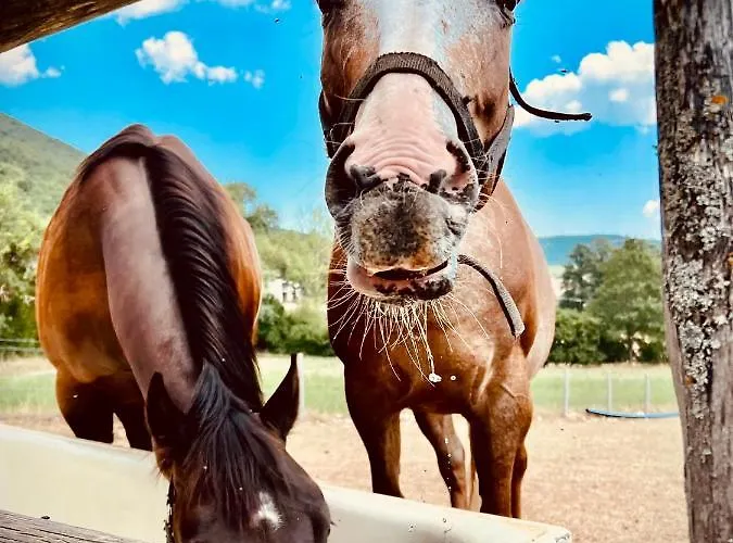 Casale Montebello * Monteleone di Spoleto